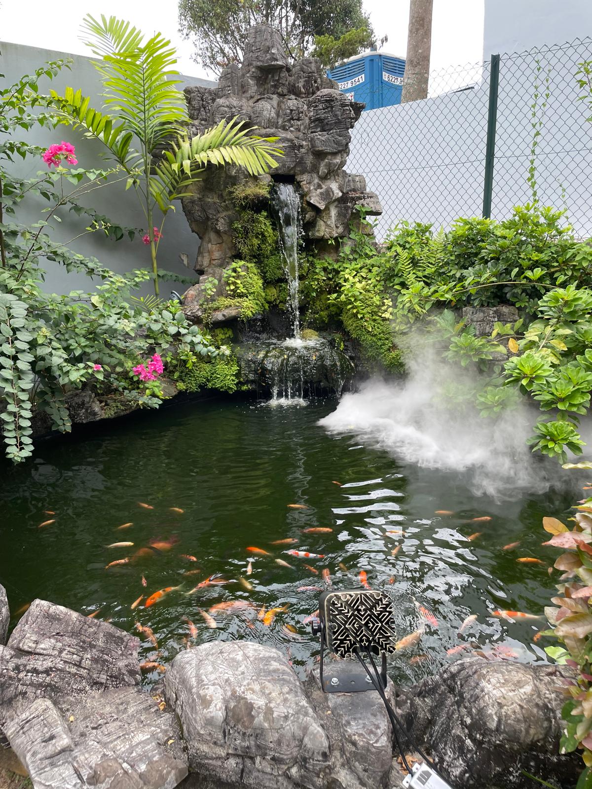Pond Cleaning Singapore